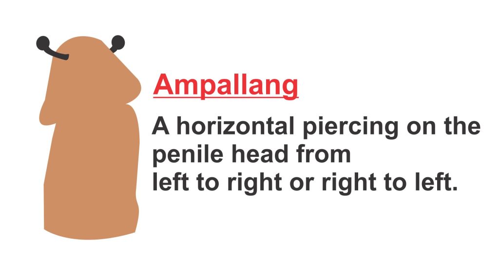 A horizontal piercing on the 
penile head from 
left to right or right to left.