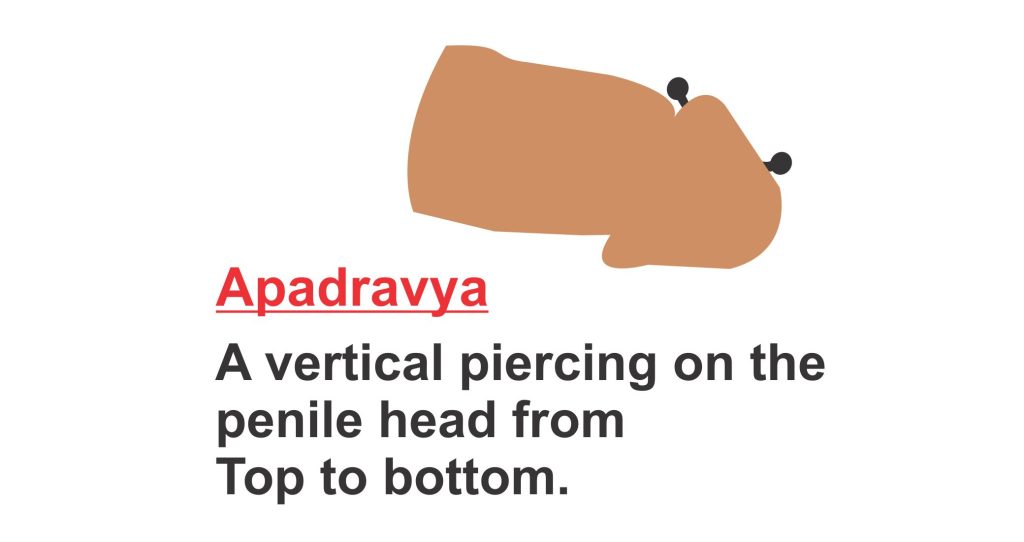 A vertical piercing on the 
penile head from 
Top to bottom.